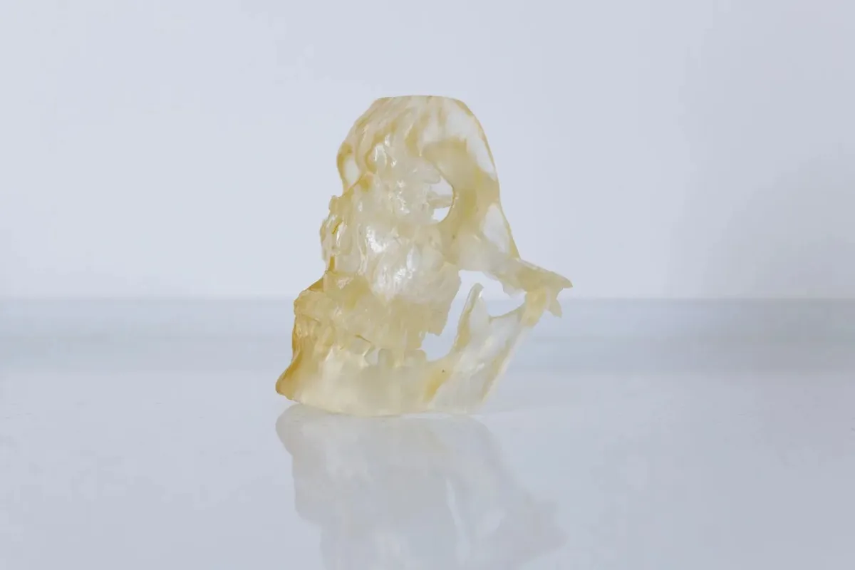 Pryskyřicový 3D výtisk lebky vytištěný na Elegoo Saturn 4 Ultra
