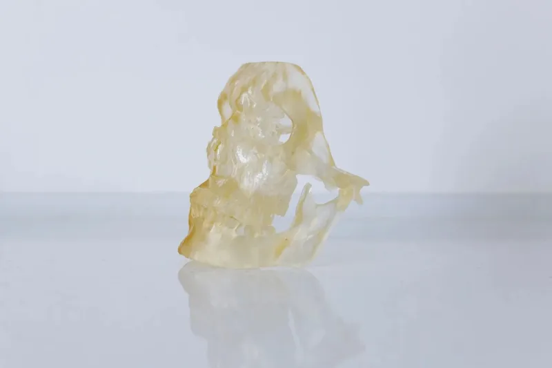Pryskyřicový 3D výtisk lebky vytištěný na Elegoo Saturn 4 Ultra